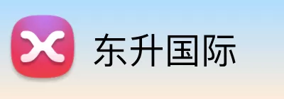 东升国际 logo